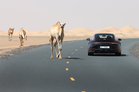 Porsche 911 ar hibrīdu: Nirburgringā par 8,7 sekundēm ātrāks par savu priekšgājēju